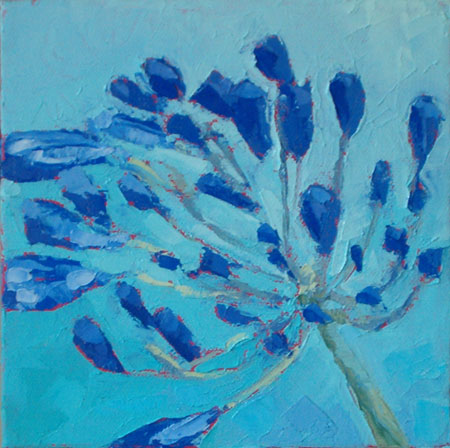 Agapanthus I