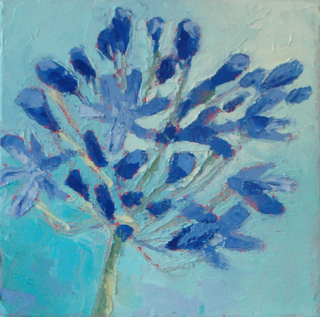 Agapanthus II